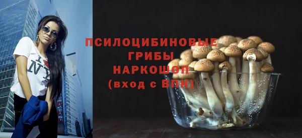 стафф Баксан