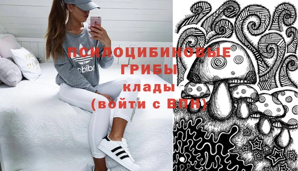 стафф Баксан