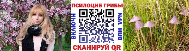 Галлюциногенные грибы ЛСД  hydra сайт  мориарти телеграм  Краснодар 